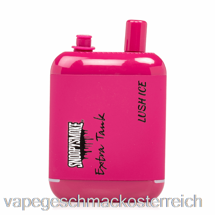 Snoopy Smoke Extra Tank 2 15000 Einweg-Eis-Vape-Geschmack